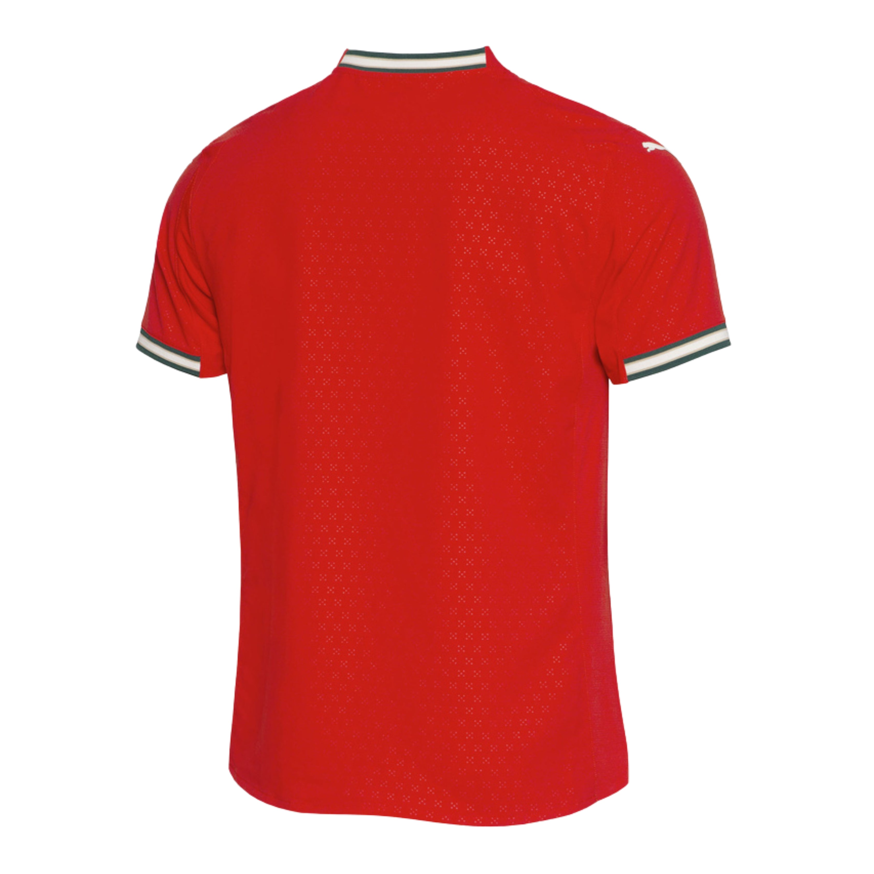 Portugal Home kit 2025