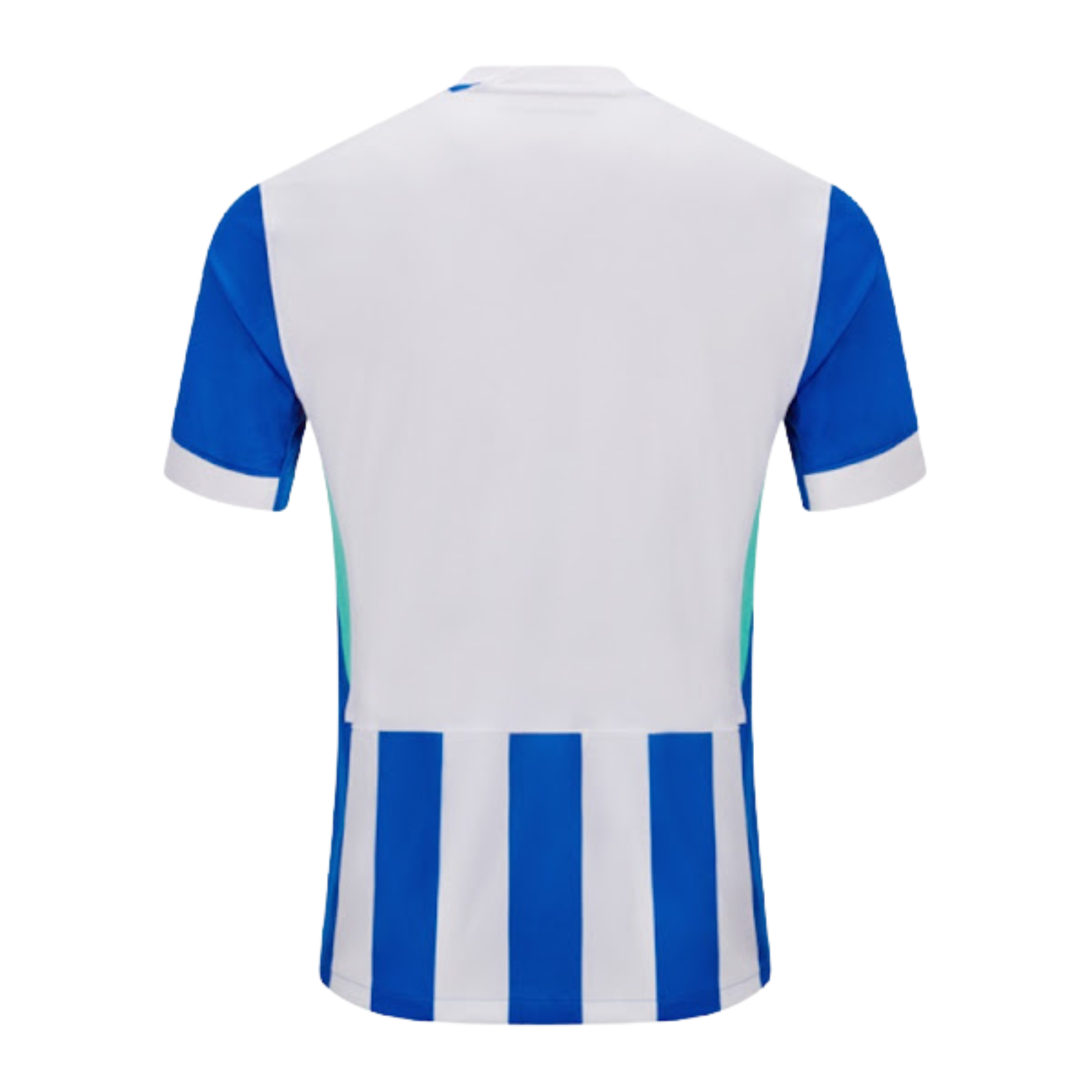 Brighton Home kit 2025/26