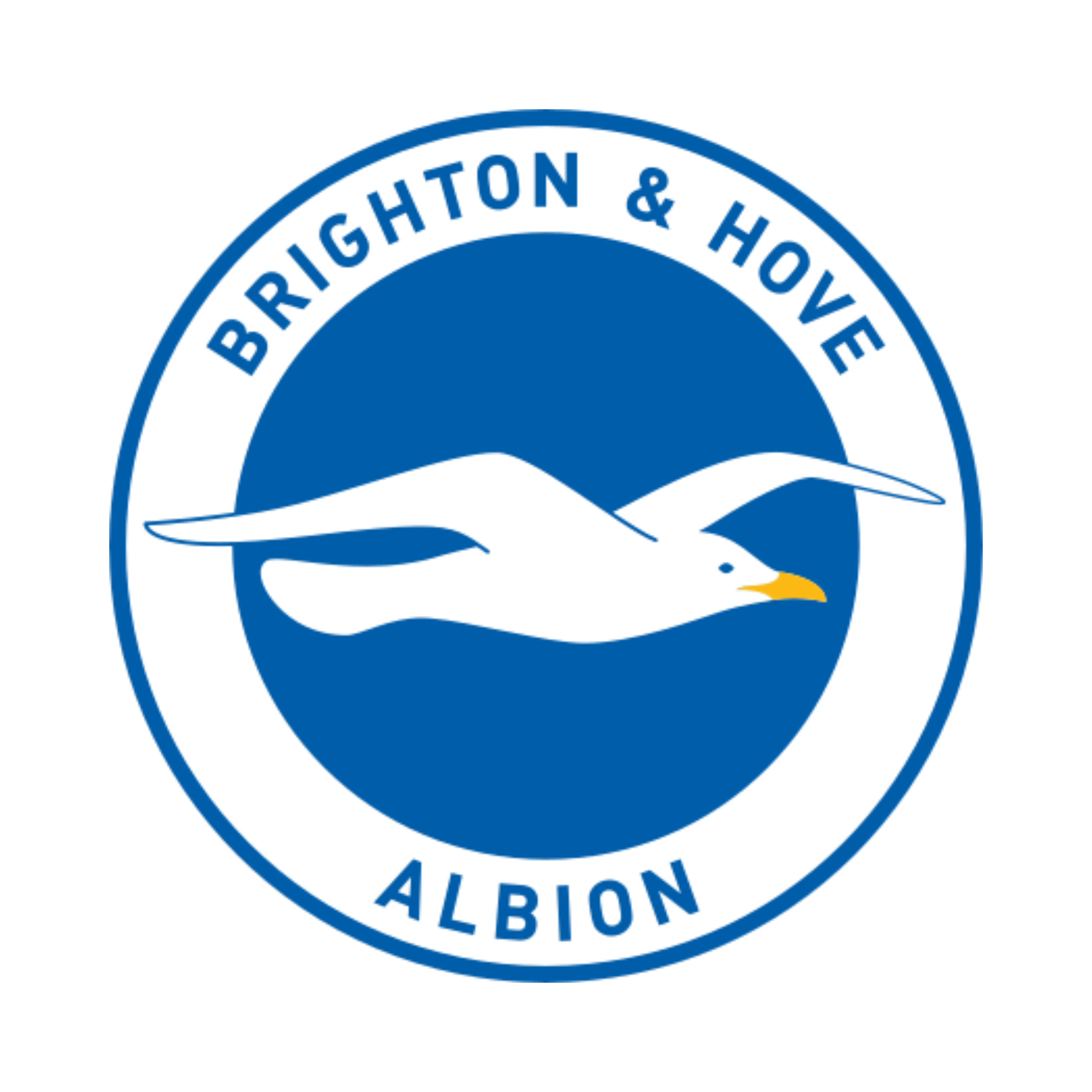Brighton New Season