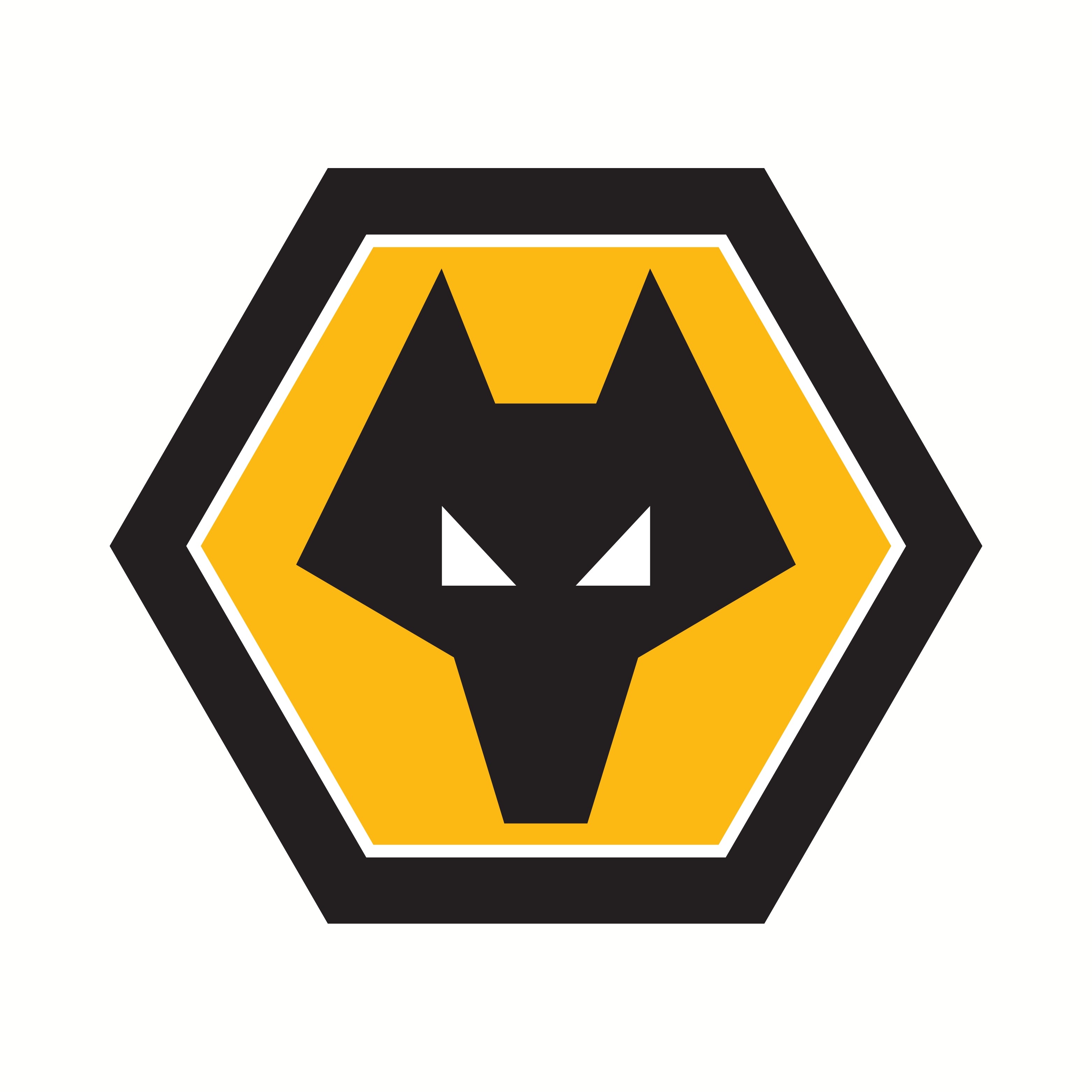 Wolves - Kids