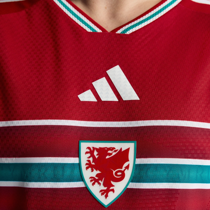 Wales Home Kit 2026