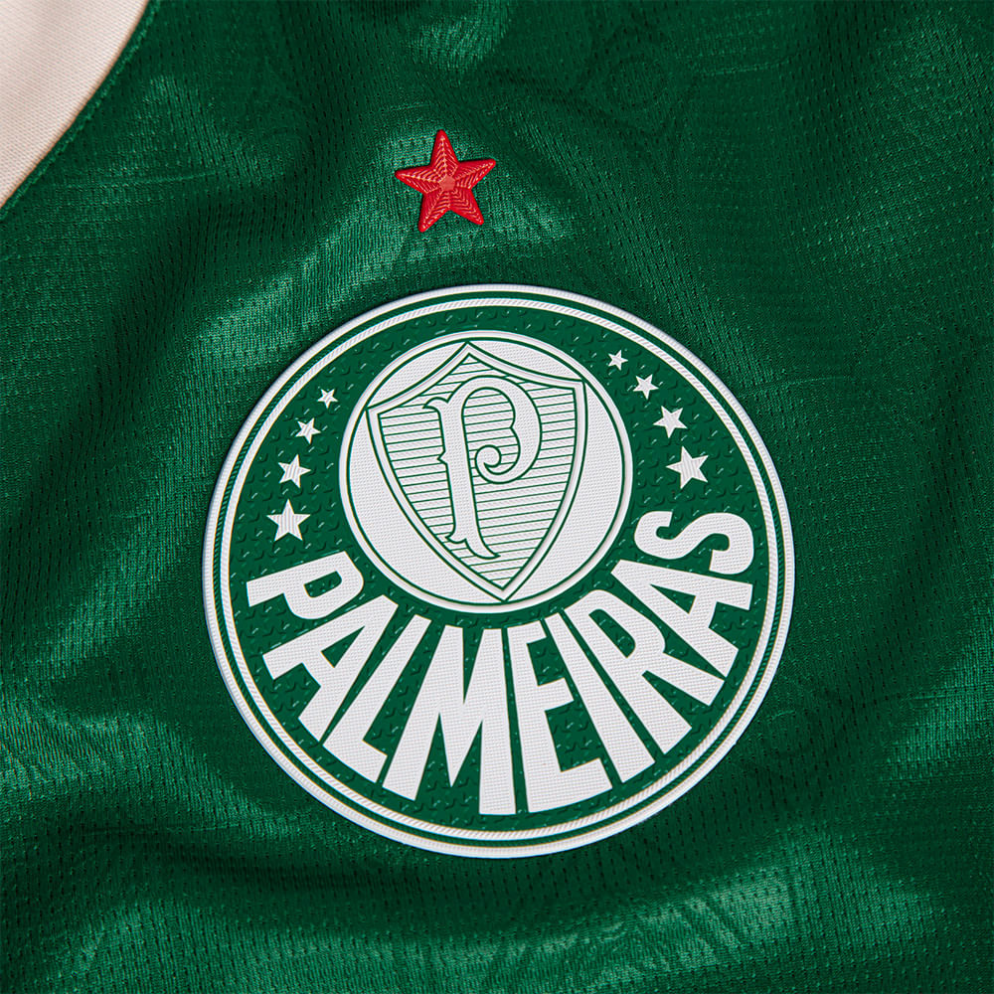 Palmeiras Home kit 2025/26