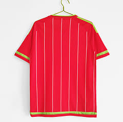 Wales Home 2015/16