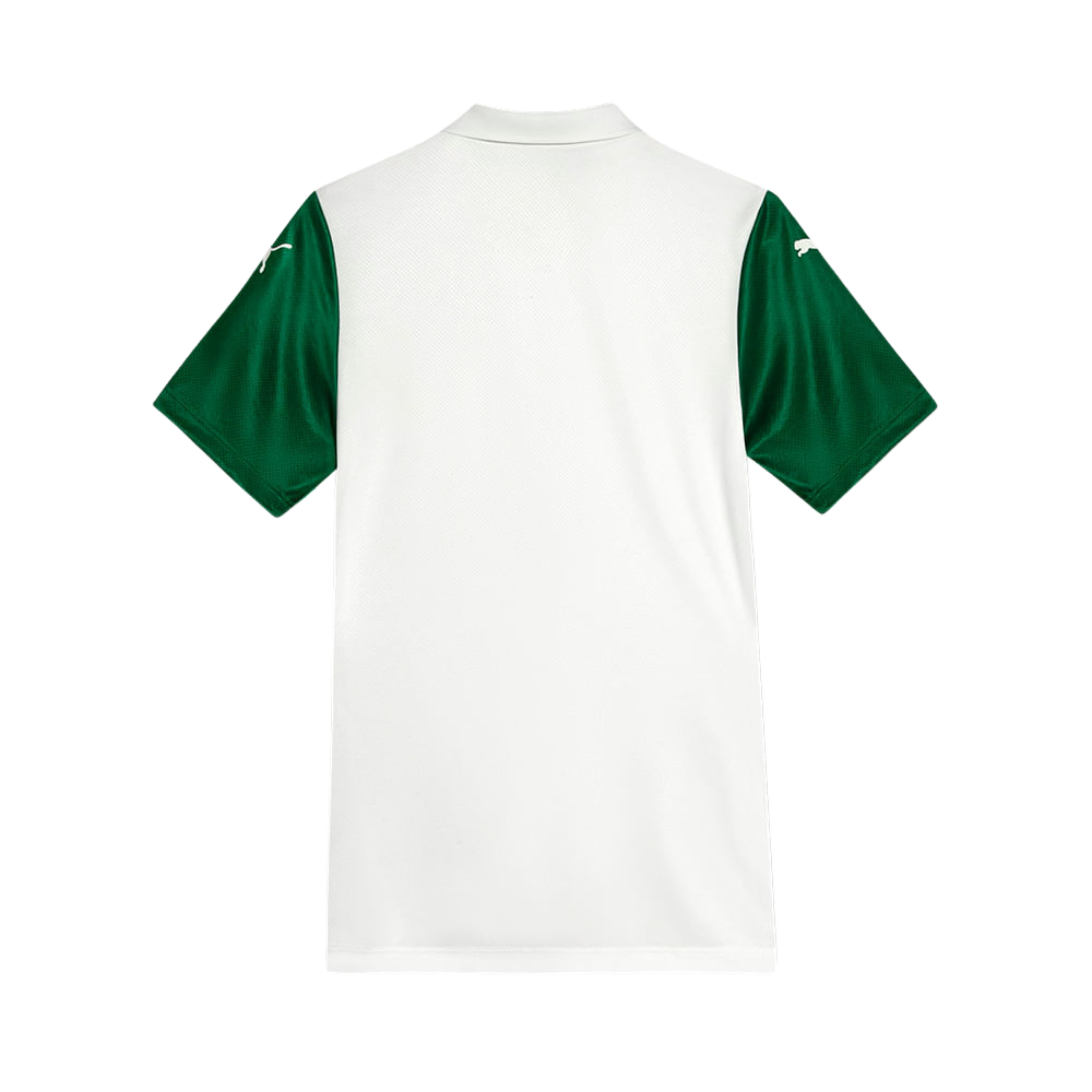 Palmeiras Away kit 2025/26
