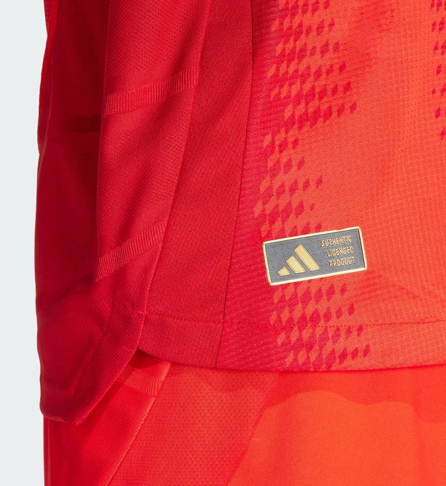 Bayern Munchen Home kit 2024/25