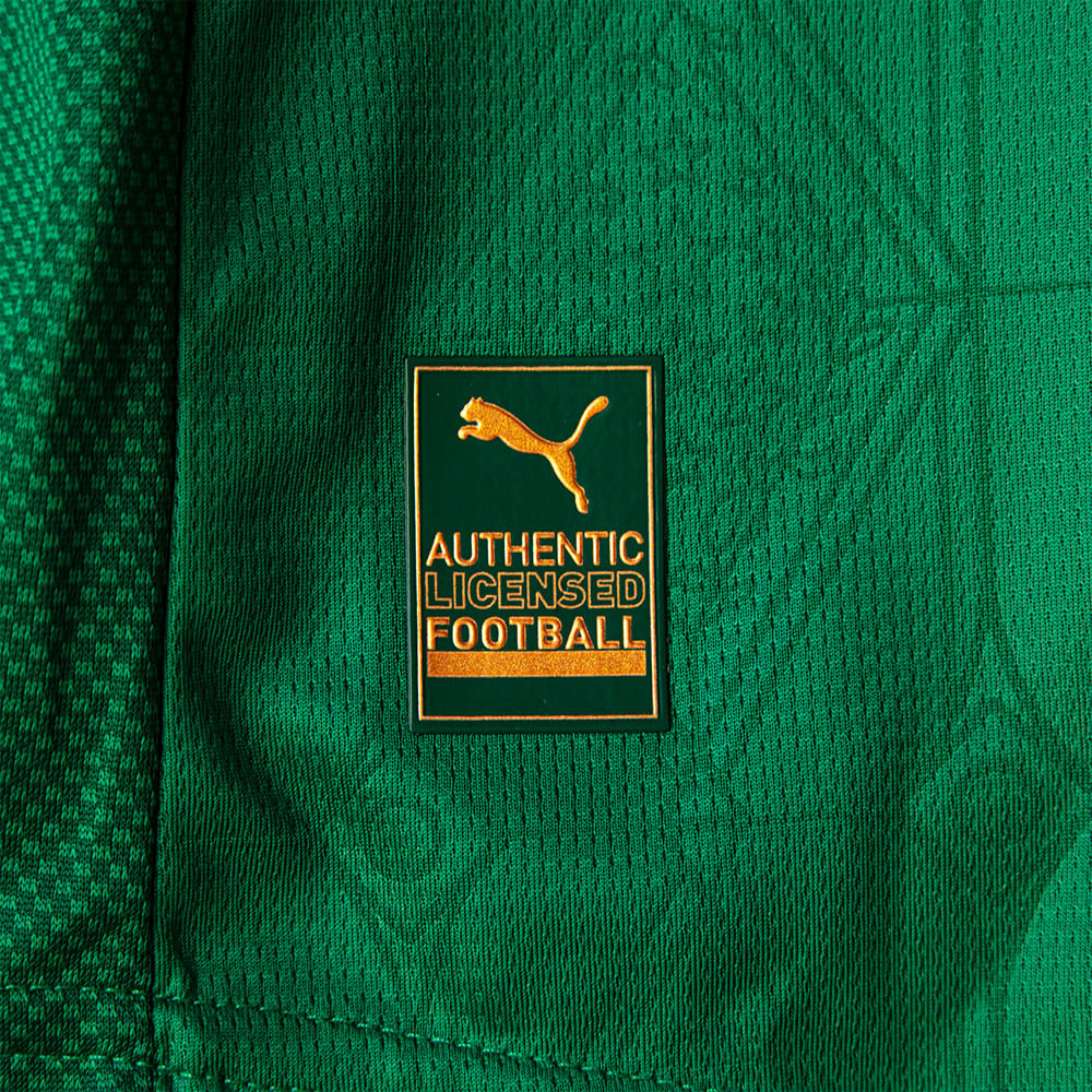 Palmeiras Home kit 2025/26