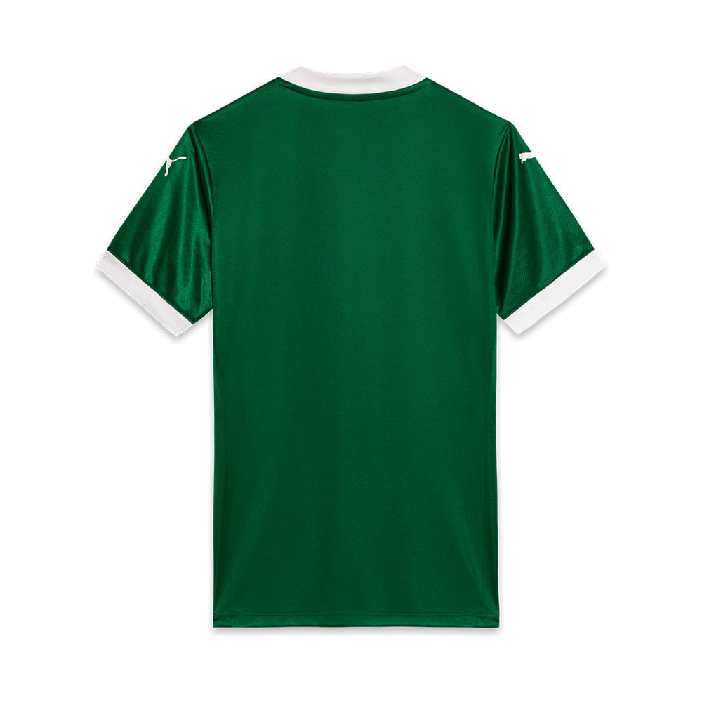 Palmeiras Home kit 2025/26