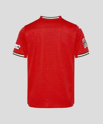 Portugal Home kit 2025