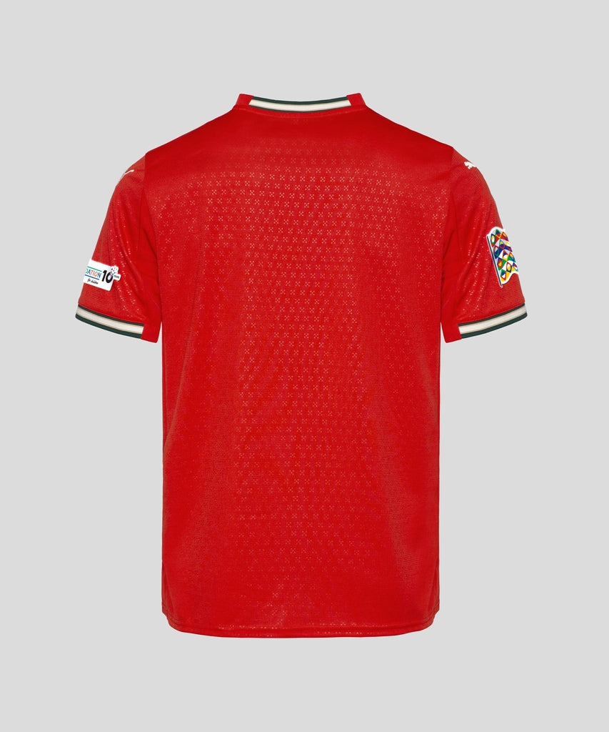 Portugal Home kit 2025