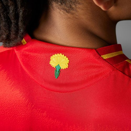Inicio España Euro 2024 