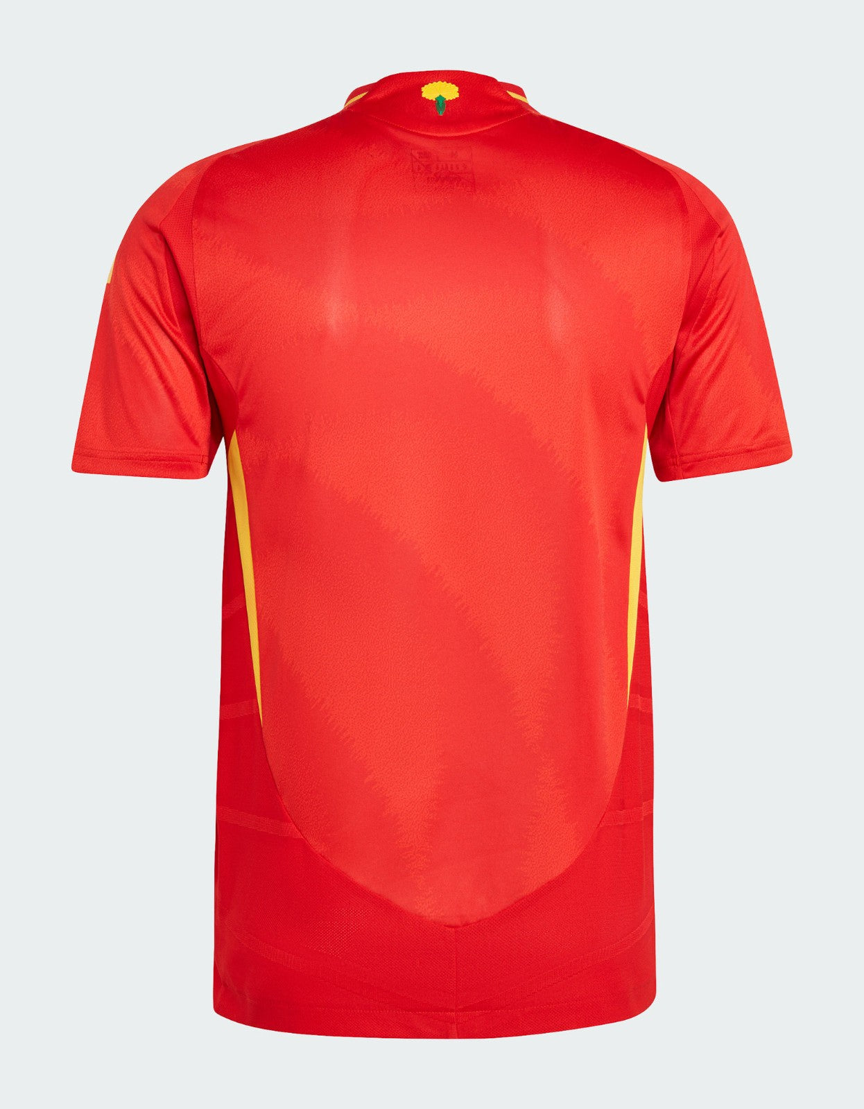 Inicio España Euro 2024 